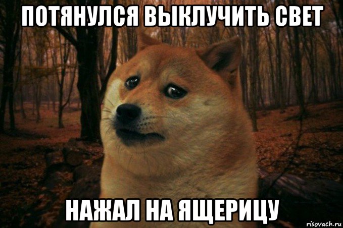 потянулся выклучить свет нажал на ящерицу, Мем SAD DOGE