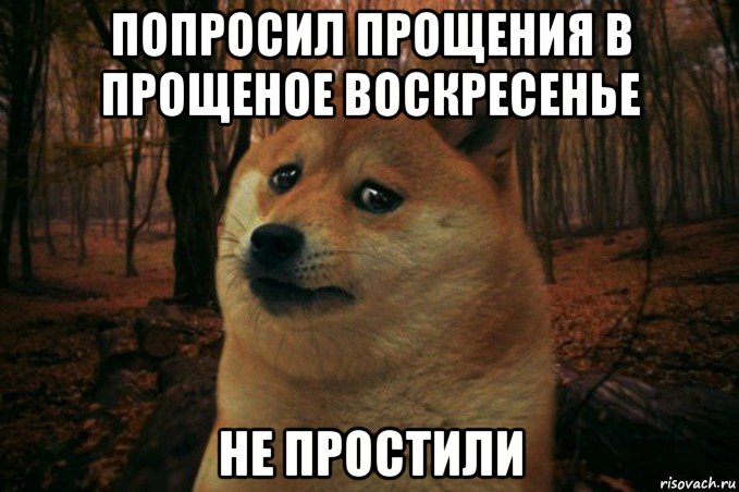 попросил прощения в прощеное воскресенье не простили, Мем SAD DOGE