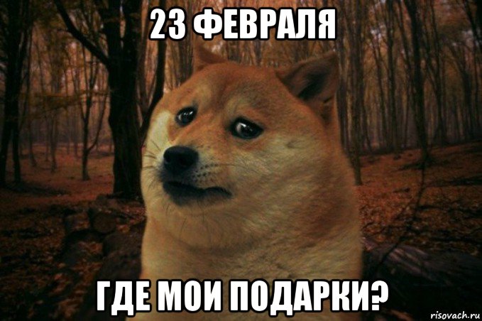 23 февраля где мои подарки?, Мем SAD DOGE