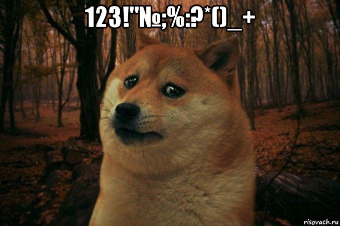 123!"№;%:?*()_+ , Мем SAD DOGE