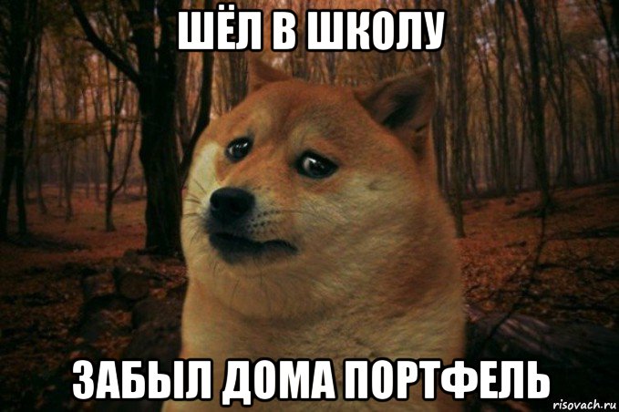 шёл в школу забыл дома портфель, Мем SAD DOGE