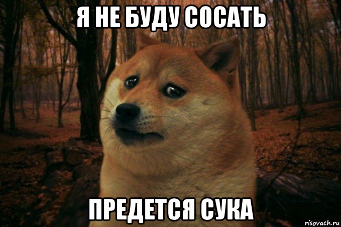 я не буду сосать предется сука, Мем SAD DOGE