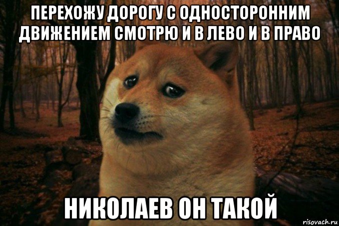 перехожу дорогу с односторонним движением смотрю и в лево и в право николаев он такой, Мем SAD DOGE