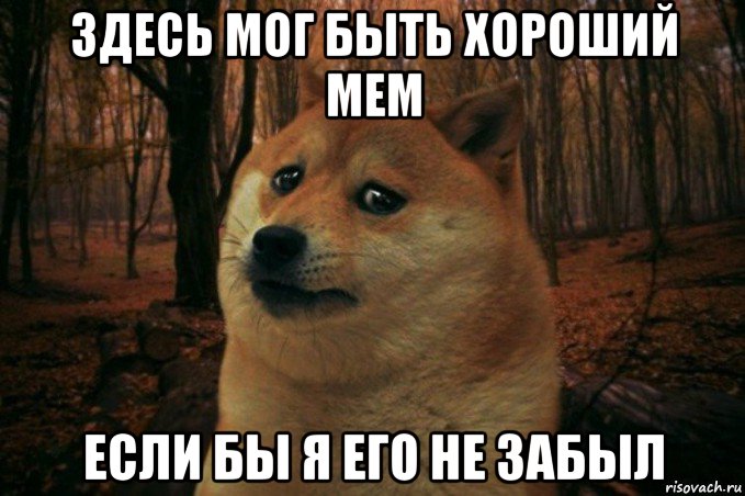 здесь мог быть хороший мем если бы я его не забыл, Мем SAD DOGE