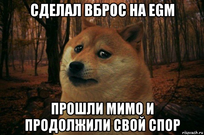 сделал вброс на egm прошли мимо и продолжили свой спор, Мем SAD DOGE