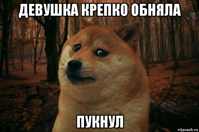 девушка крепко обняла пукнул, Мем SAD DOGE