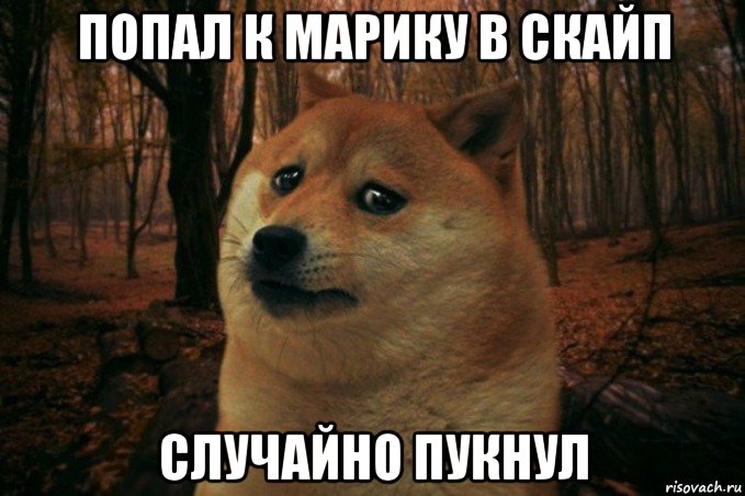 попал к марику в скайп случайно пукнул, Мем SAD DOGE