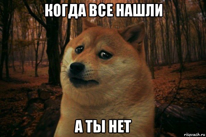 когда все нашли а ты нет, Мем SAD DOGE