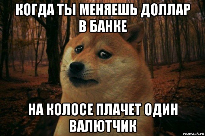 когда ты меняешь доллар в банке на колосе плачет один валютчик, Мем SAD DOGE