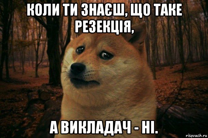 коли ти знаєш, що таке резекція, а викладач - ні., Мем SAD DOGE