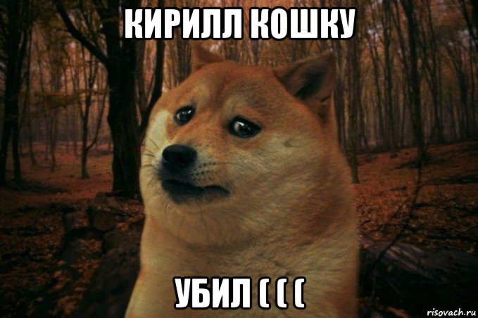 кирилл кошку убил ( ( (, Мем SAD DOGE