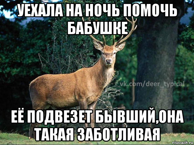 уехала на ночь помочь бабушке её подвезет бывший,она такая заботливая