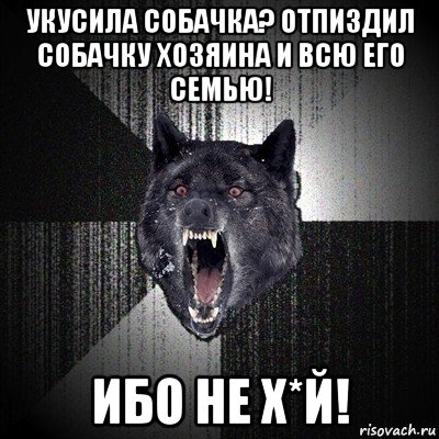 укусила собачка? отпиздил собачку хозяина и всю его семью! ибо не х*й!, Мем Сумасшедший волк