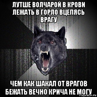 лутше волчарой в крови лежать в горло вцепясь врагу чем как шакал от врагов бежать вечно крича не могу, Мем Сумасшедший волк