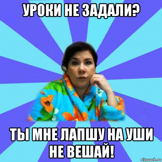 уроки не задали? ты мне лапшу на уши не вешай!, Мем типичная мама