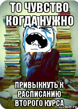 то чувство когда нужно привыкнуть к расписанию второго курса, Мем Типовий десятикласник