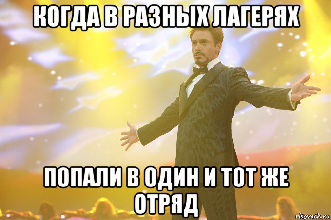 когда в разных лагерях попали в один и тот же отряд, Мем Тони Старк (Роберт Дауни младший)