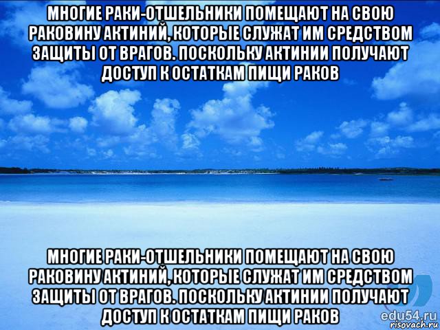 многие раки-отшельники помещают на свою раковину актиний, которые служат им средством защиты от врагов. поскольку актинии получают доступ к остаткам пищи раков многие раки-отшельники помещают на свою раковину актиний, которые служат им средством защиты от врагов. поскольку актинии получают доступ к остаткам пищи раков