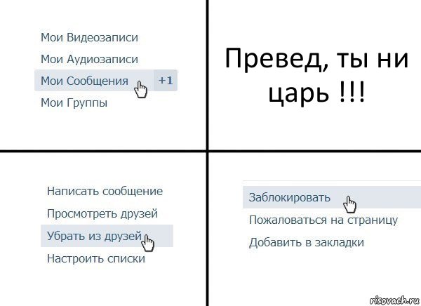 Превед, ты ни царь !!!