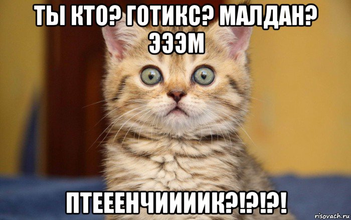 ты кто? готикс? малдан? эээм птееенчиииик?!?!?!, Мем  удивление