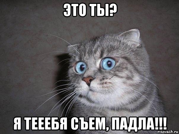 это ты? я тееебя съем, падла!!!