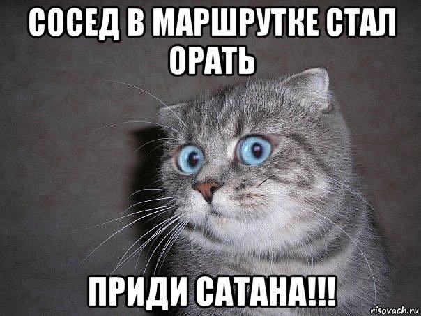 сосед в маршрутке стал орать приди сатана!!!, Мем  удивлённый кот