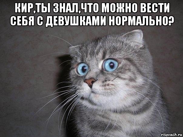 кир,ты знал,что можно вести себя с девушками нормально? , Мем  удивлённый кот