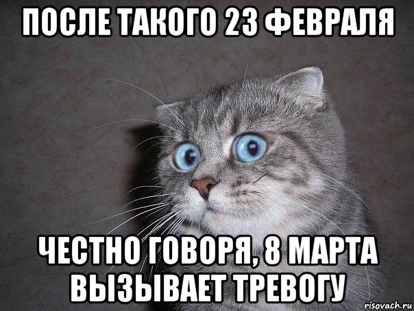 после такого 23 февраля честно говоря, 8 марта вызывает тревогу, Мем  удивлённый кот