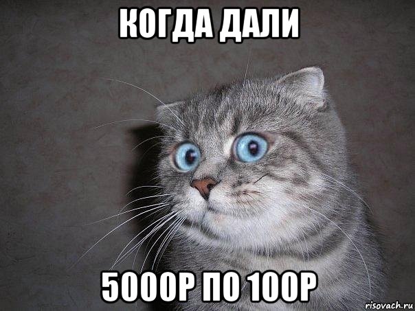 когда дали 5000р по 100р, Мем  удивлённый кот