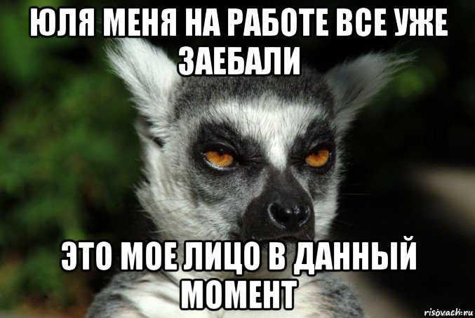 юля меня на работе все уже заебали это мое лицо в данный момент, Мем   Я збагоен