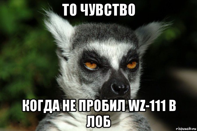 то чувство когда не пробил wz-111 в лоб, Мем   Я збагоен