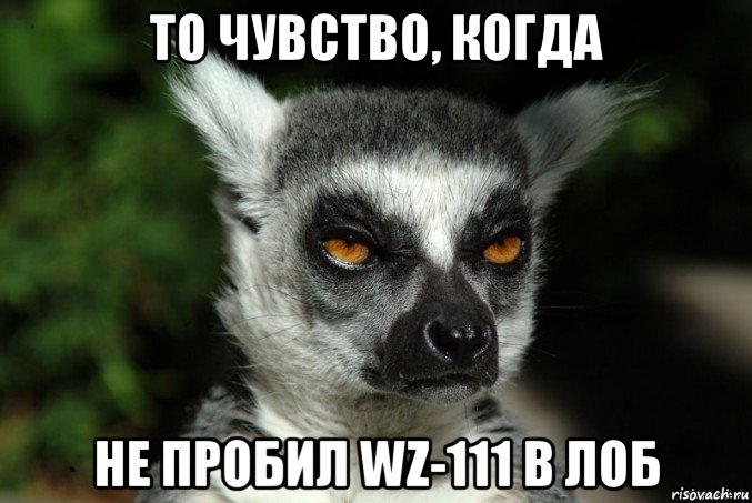 то чувство, когда не пробил wz-111 в лоб, Мем   Я збагоен