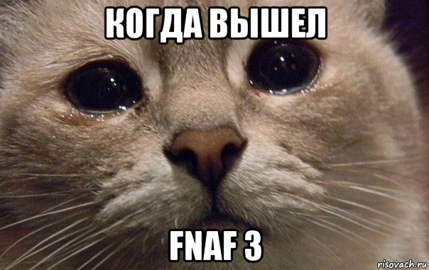 когда вышел fnaf 3, Мем   В мире грустит один котик