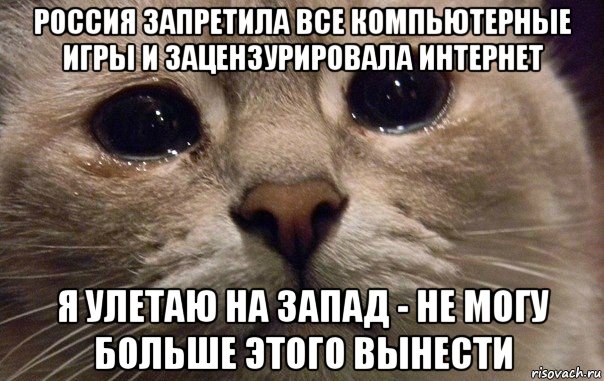 россия запретила все компьютерные игры и зацензурировала интернет я улетаю на запад - не могу больше этого вынести, Мем   В мире грустит один котик