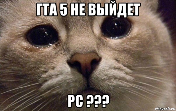 гта 5 не выйдет pc ???, Мем   В мире грустит один котик