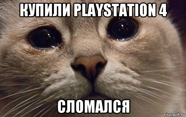 купили playstation 4 сломался, Мем   В мире грустит один котик