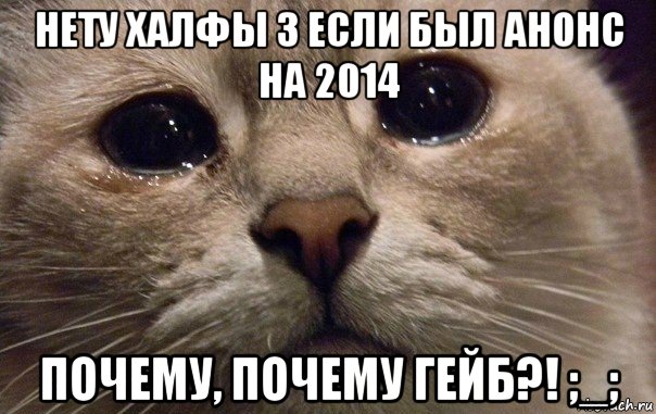 нету халфы 3 если был анонс на 2014 почему, почему гейб?! ;_;, Мем   В мире грустит один котик