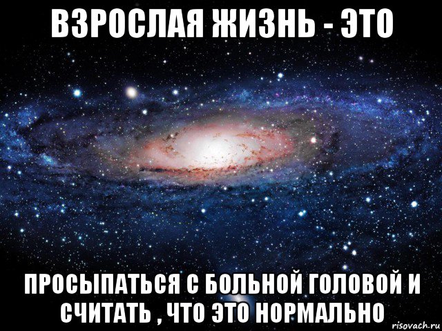 взрослая жизнь - это просыпаться с больной головой и считать , что это нормально, Мем Вселенная