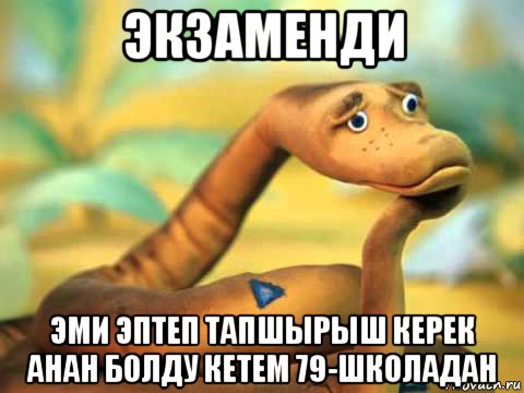 экзаменди эми эптеп тапшырыш керек анан болду кетем 79-школадан, Мем  задумчивый удав