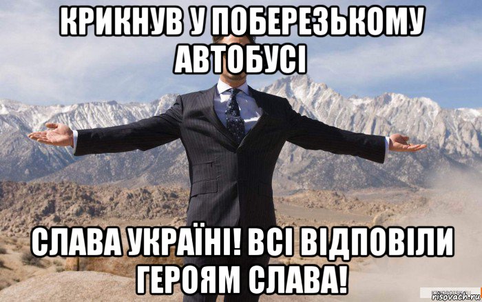 крикнув у поберезькому автобусі слава україні! всі відповіли героям слава!, Мем железный человек