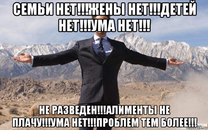 семьи нет!!!жены нет!!!детей нет!!!ума нет!!! не разведен!!!алименты не плачу!!!ума нет!!!проблем тем более!!!, Мем железный человек