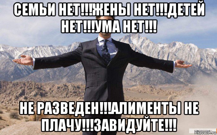 семьи нет!!!жены нет!!!детей нет!!!ума нет!!! не разведен!!!алименты не плачу!!!завидуйте!!!, Мем железный человек