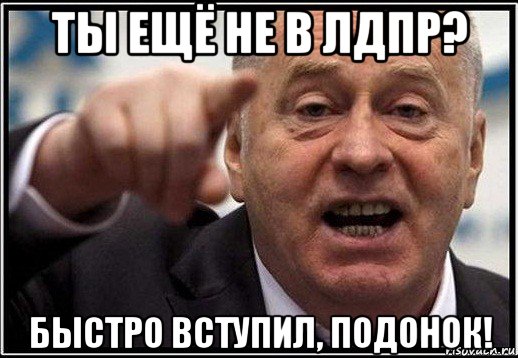 ты ещё не в лдпр? быстро вступил, подонок!, Мем жириновский ты