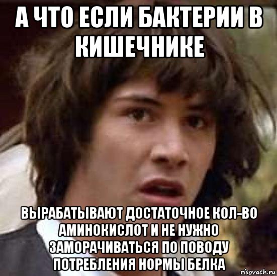 а что если бактерии в кишечнике вырабатывают достаточное кол-во аминокислот и не нужно заморачиваться по поводу потребления нормы белка, Мем А что если (Киану Ривз)