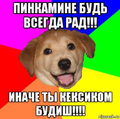 пинкамине будь всегда рад!!! иначе ты кексиком будиш!!!!, Мем Advice Dog