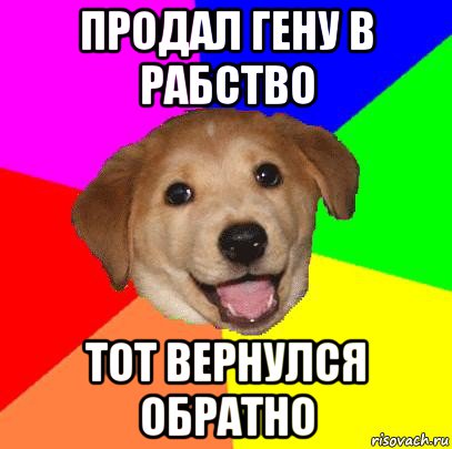 продал гену в рабство тот вернулся обратно, Мем Advice Dog