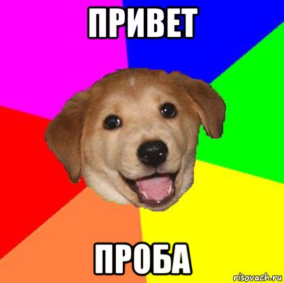 привет проба, Мем Advice Dog