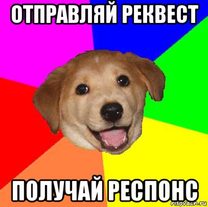 отправляй реквест получай респонс, Мем Advice Dog