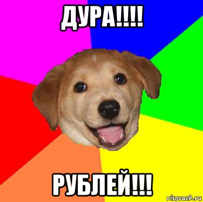 дура!!!! рублей!!!, Мем Advice Dog