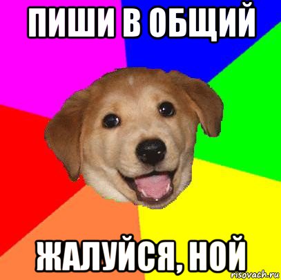 пиши в общий жалуйся, ной, Мем Advice Dog